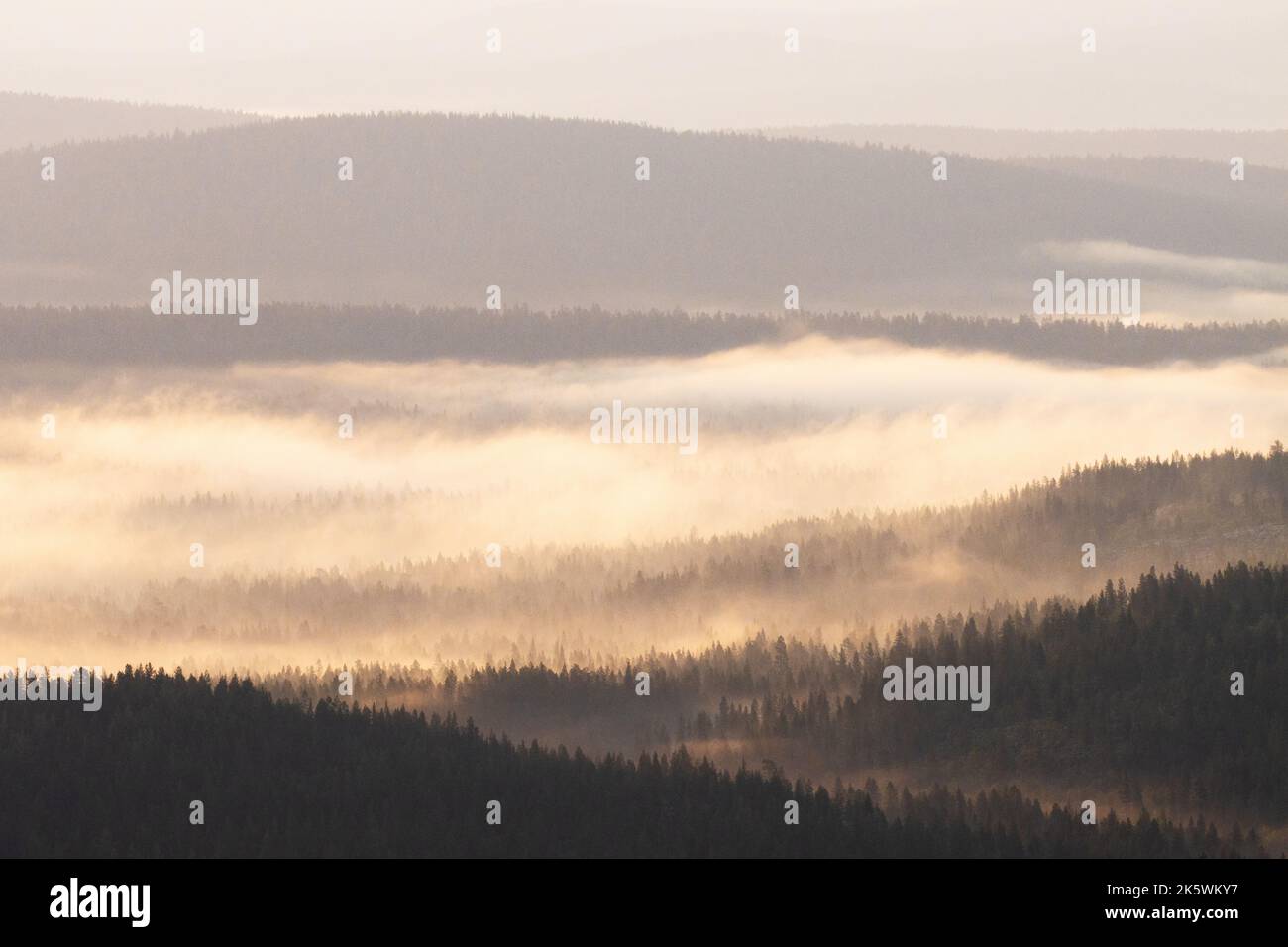 Movimiento de niebla entre las colinas durante una noche de verano en el Parque Nacional Urho Kekkonen, al norte de Finlandia Foto de stock