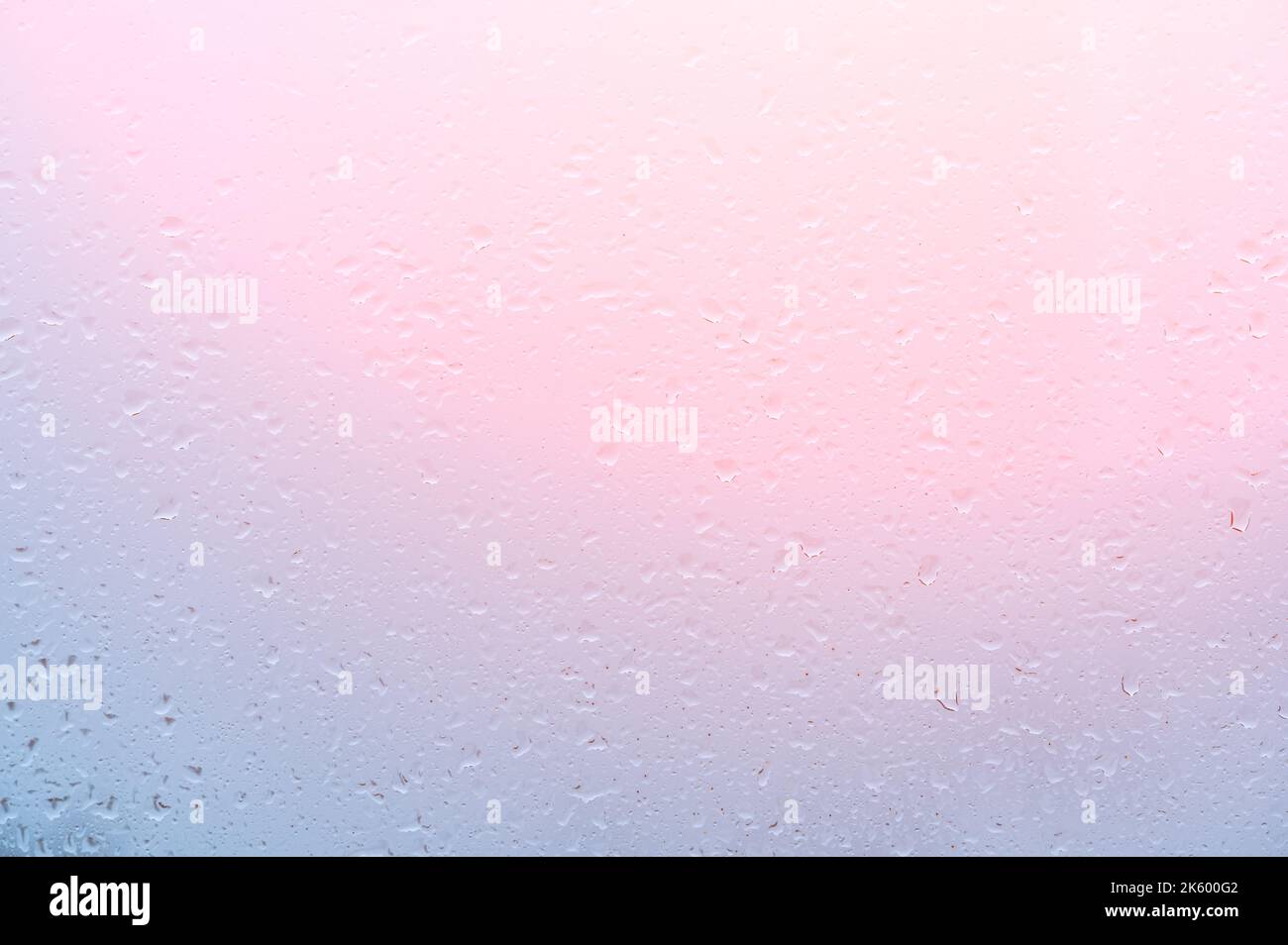 Gotas de agua de fondo. La lluvia cae en la ventana al atardecer, con fondo rosa azul. Gotas de lluvia Agua al amanecer con luz rosa sobre fondo de vidrio. Rosa ba Foto de stock