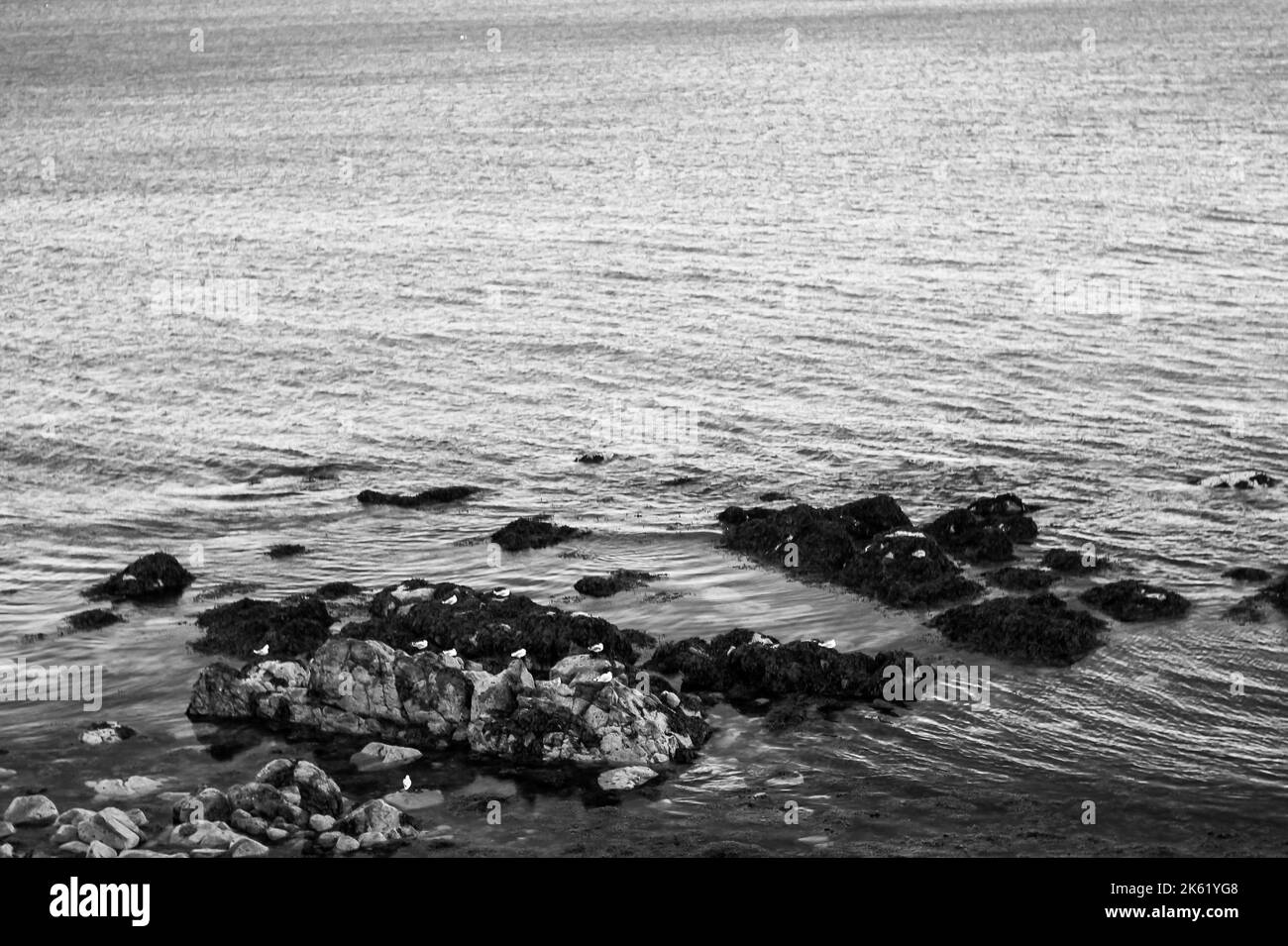 Una escala de grises de las olas del mar en Dublín, Irlanda Foto de stock
