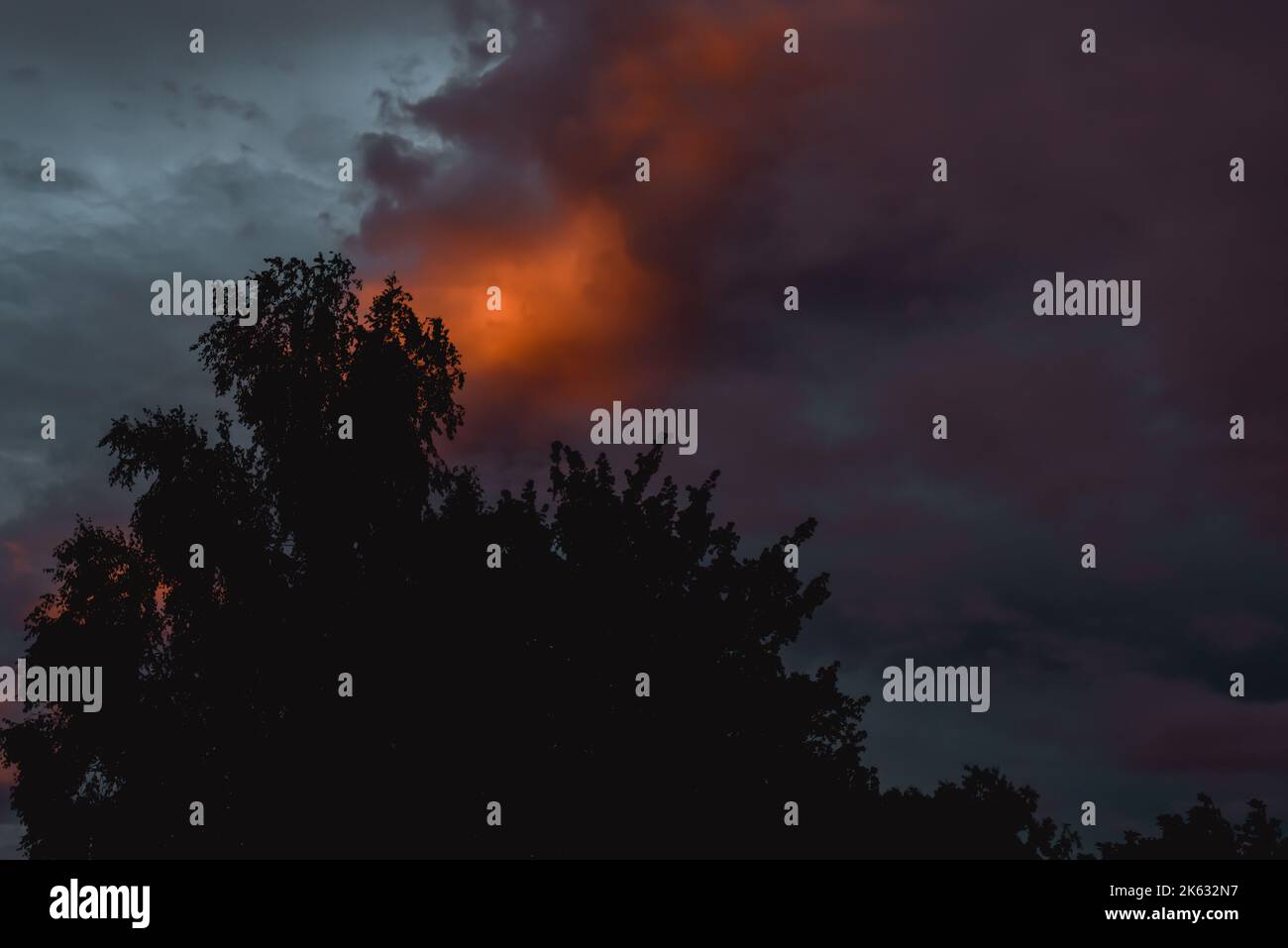 Espeluznante cielo por la noche con silueta de árbol Foto de stock