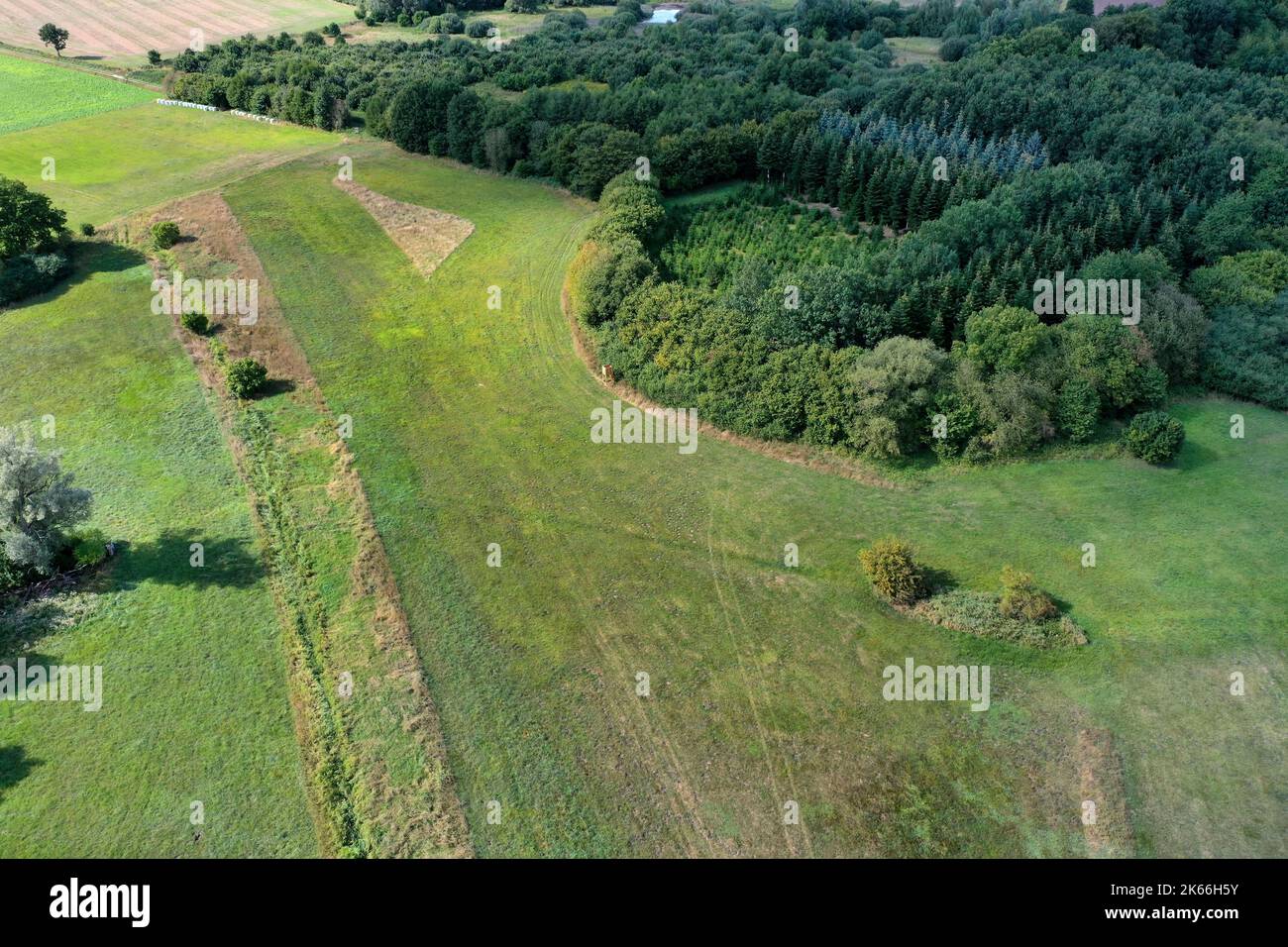 Proyecto de conservación prados de pozo de piedra en el bosque Luebeck, pradera a principios de otoño después del verano seco, vista aérea, Alemania, Schleswig-Holstein, Foto de stock