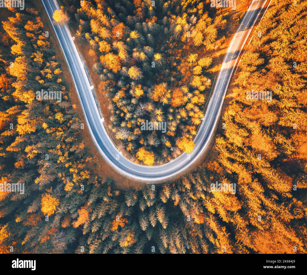 Vista aérea de la carretera sinuosa con coche en el colorido bosque de otoño Foto de stock