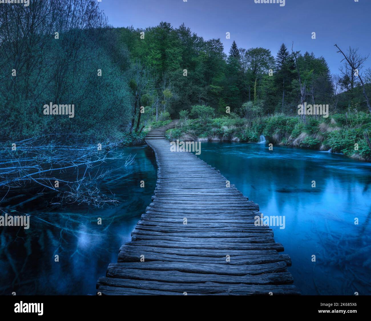Hermoso camino de madera en bosque verde en los lagos de Plitvice, Croacia Foto de stock