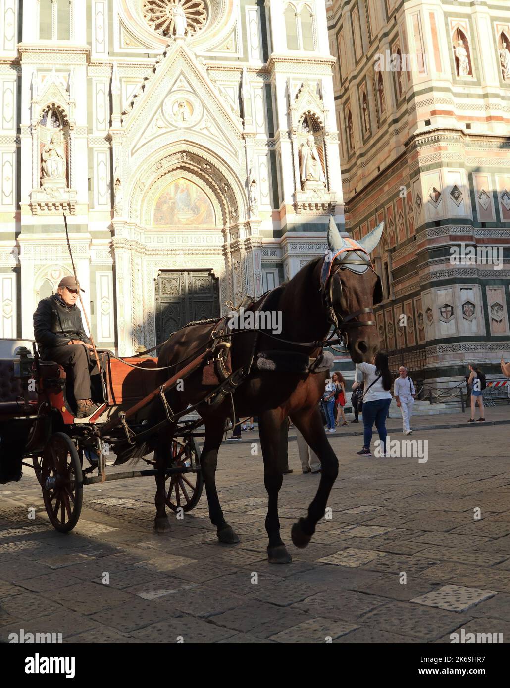 Carruaje de caballos en la Catedral de Florencia Foto de stock