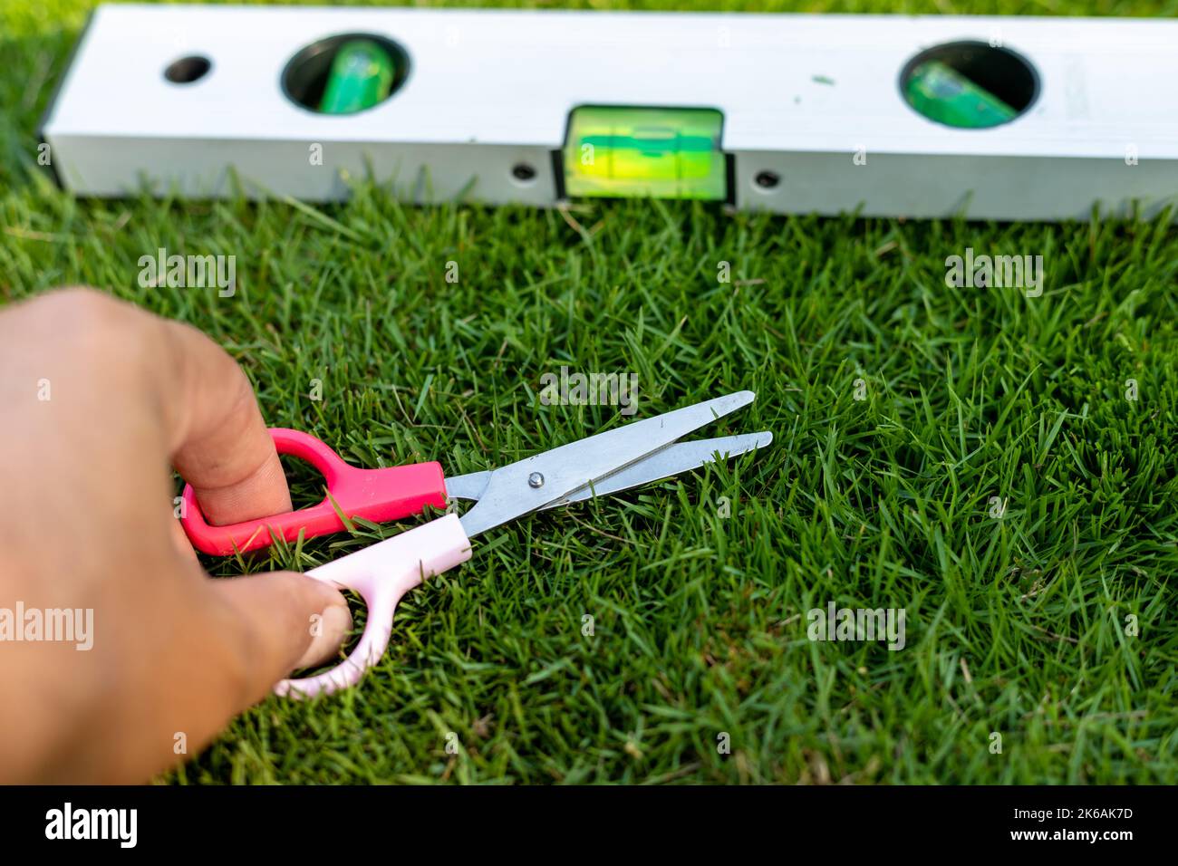 La segadora de mano corta el césped usando tijeras y una herramienta de nivelación Foto de stock