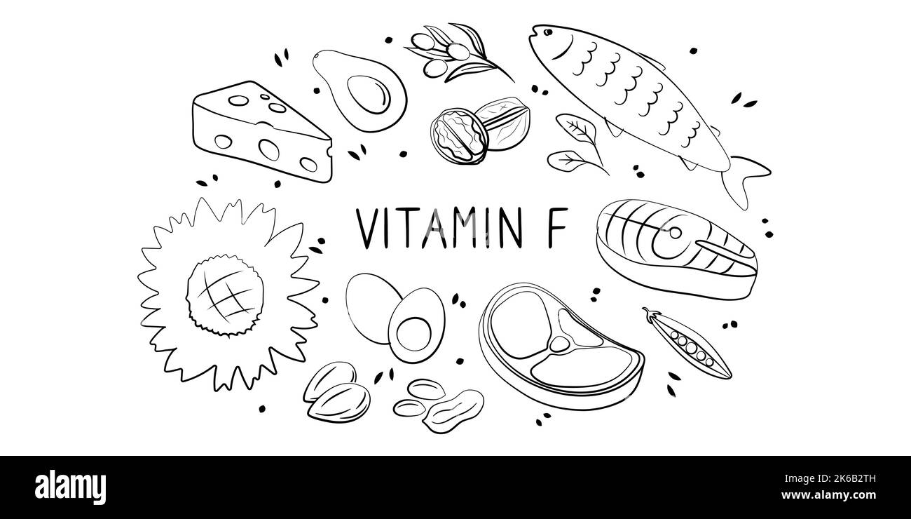 Vitamina F Ácido Linolénico Linoleico. Grupos de productos saludables