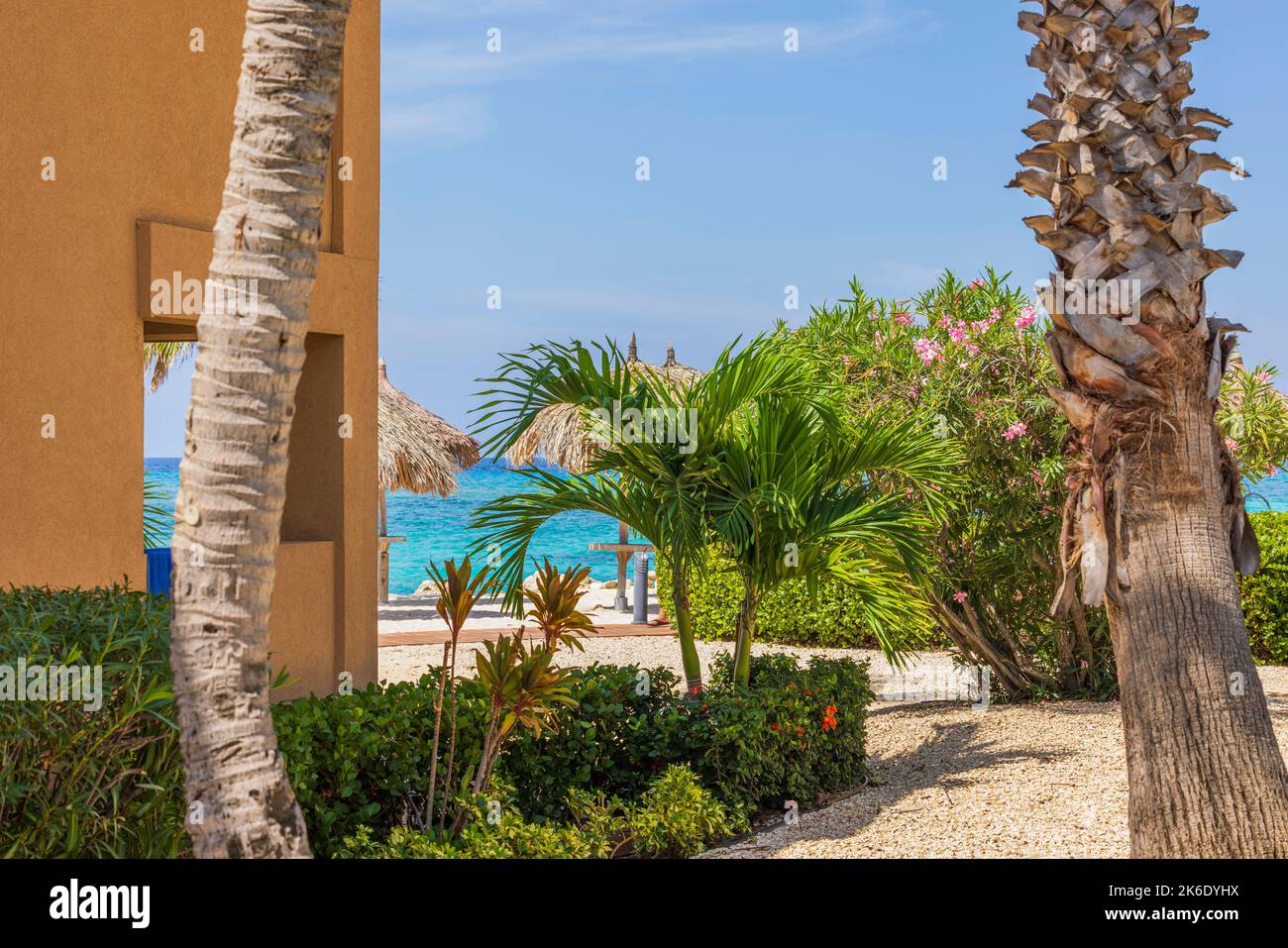 Vista increíble del edificio del hotel y palmeras verdes en la playa de arena blanca con superficie de agua turquesa y cielo azul nublado en el fondo. Aruba. Foto de stock