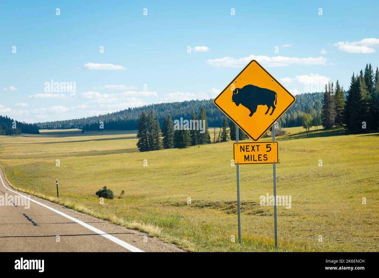 Señal de carretera y bisonte con pinos Kaibab al borde norte del Gran Cañón, Arizona, EE.UU Foto de stock