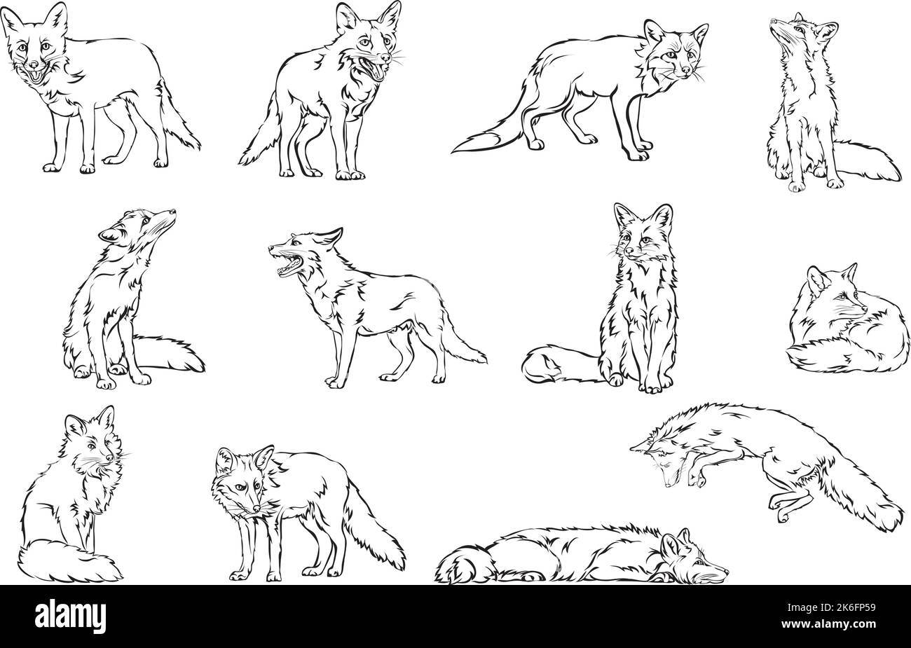 Fox, imagen vectorial de un zorro, ilustración vectorial para uso en logotipos, signos, marcas, diseño y publicidad Ilustración del Vector