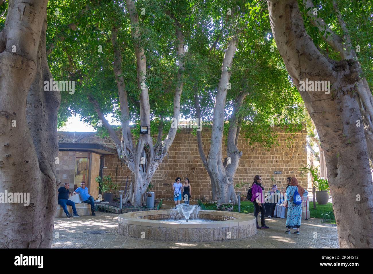 Israel, Acre (Akko), Jardín de la ciudadela Foto de stock