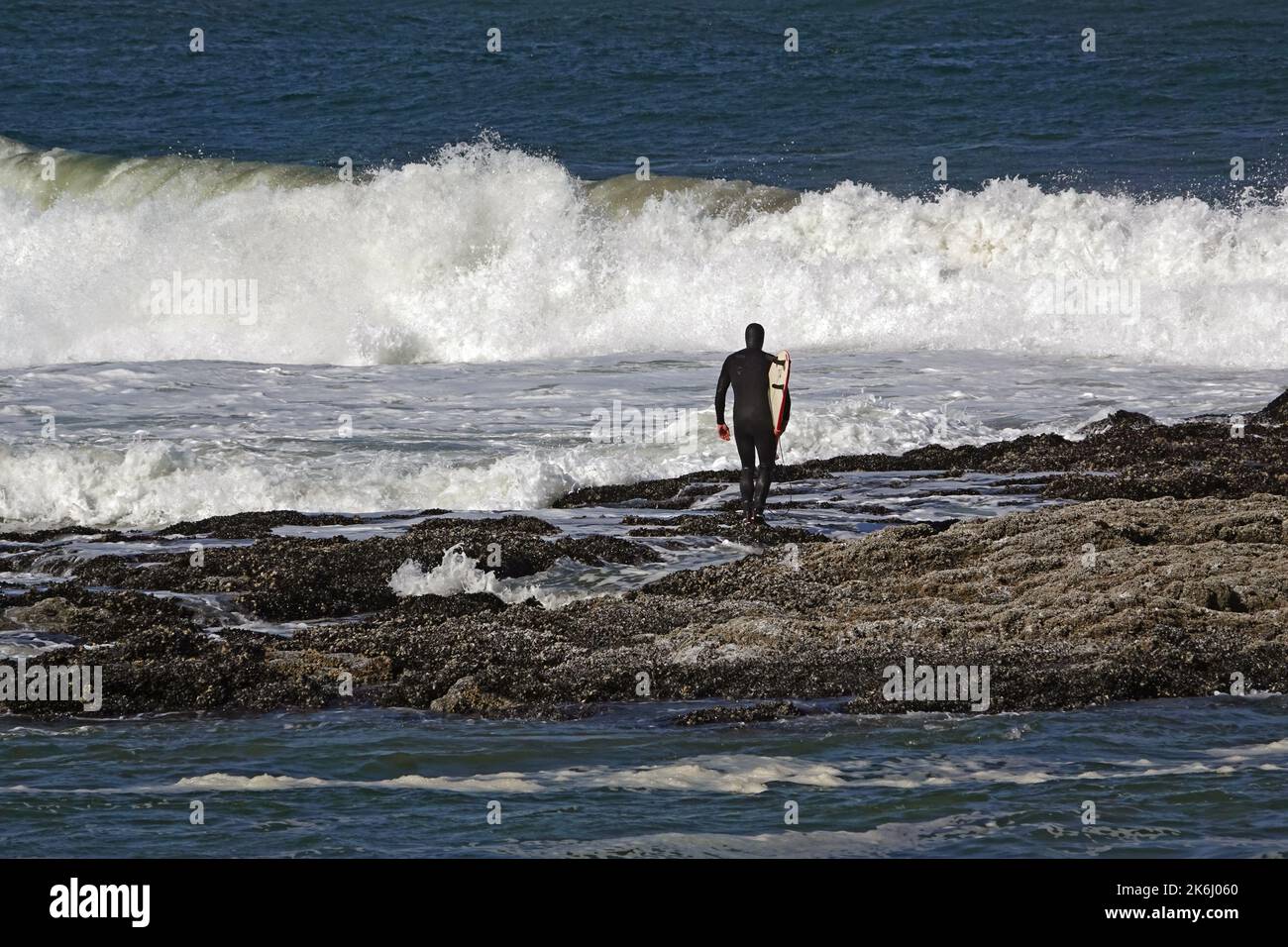 Un surfista con traje de neopreno se prepara para ir al agua desde un arrecife rocoso a lo largo de la costa de Oregón cerca de la ciudad de Waldport, Oregón. El nadador es irreconocible Foto de stock