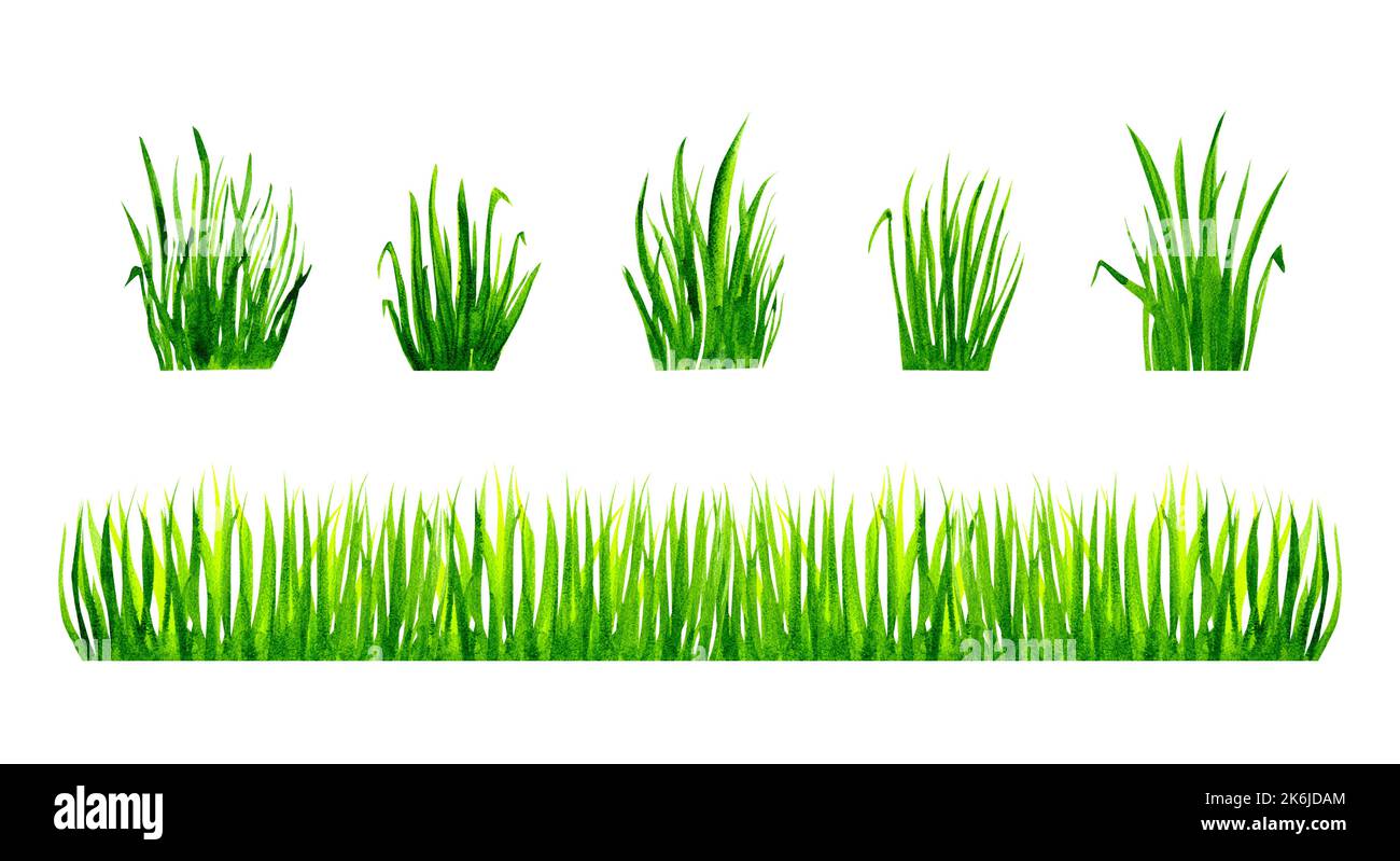 Acuarela set de hierba verde sobre fondo blanco. Foto de stock