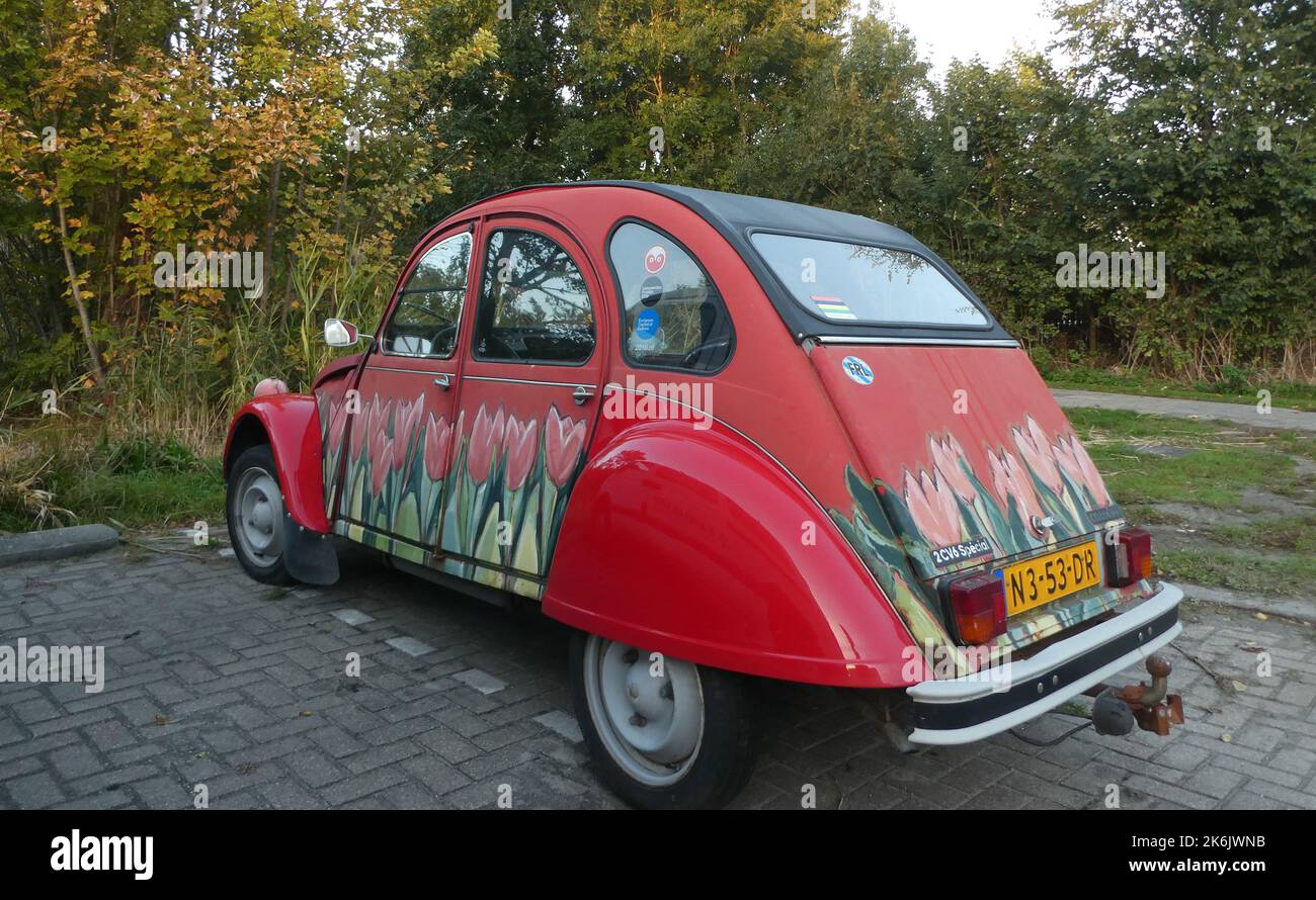 Harlingen, Países Bajos Octubre 10 2022 - Un lindo oldtimer: Citroën 2CV o deux Chevaux en rojo con tulipanes pintados Foto de stock
