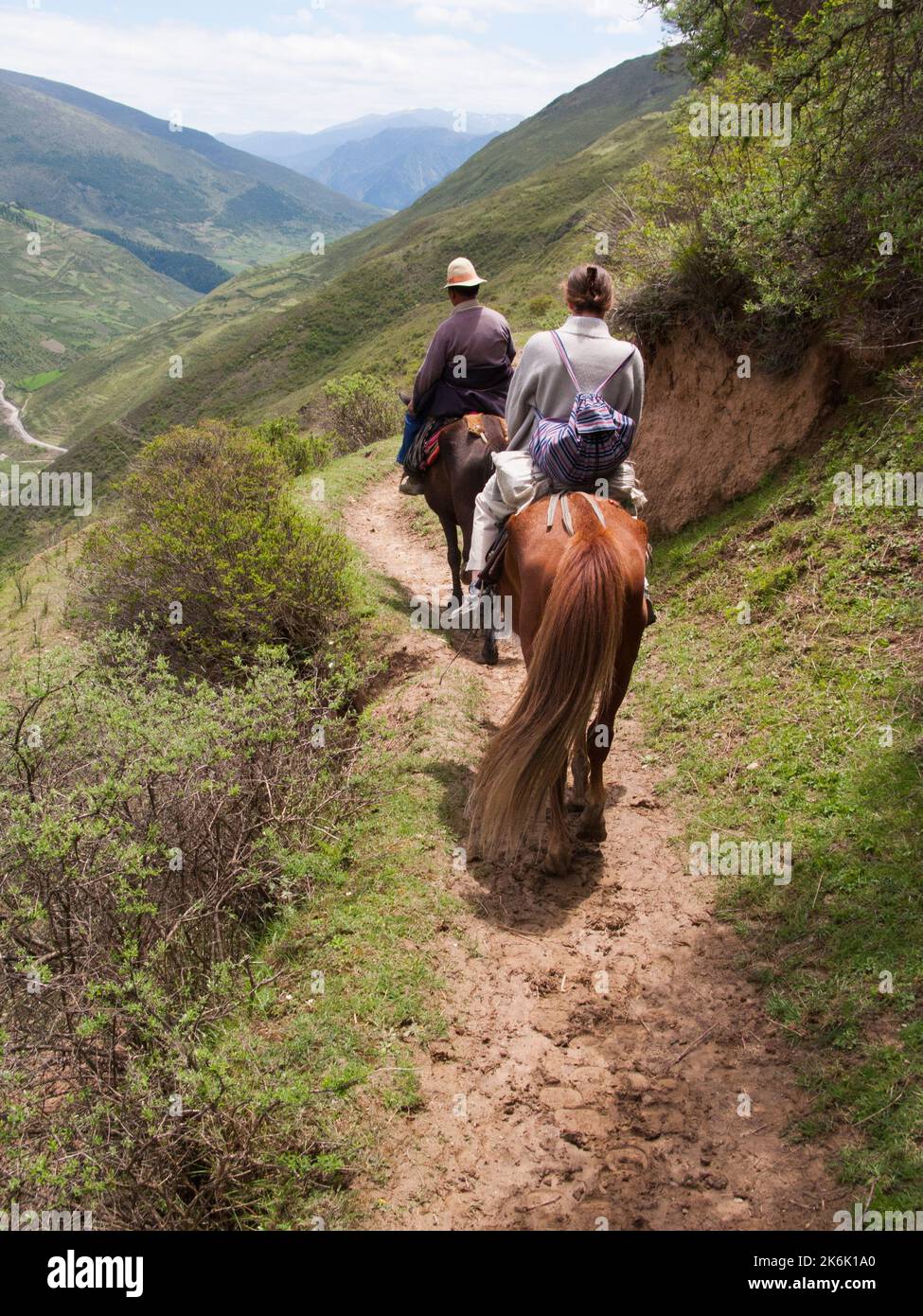 Paseos a caballo paseo en pony para el occidental y europeo de vacaciones, los turistas y los visitantes dados por el jinete tibetano / hombre / la gente étnica de Tíbet, residentes o locales a la antigua ciudad amurallada china de Songpan en el norte de la provincia de Sichuan, China. (126) Foto de stock