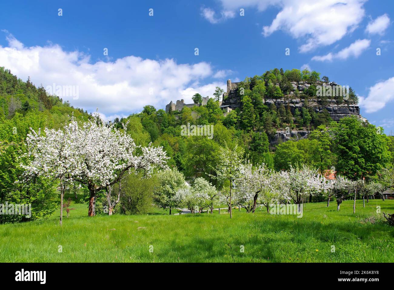 Montañas Zittau, el monasterio de Oybin en primavera con manzanos en flor Foto de stock