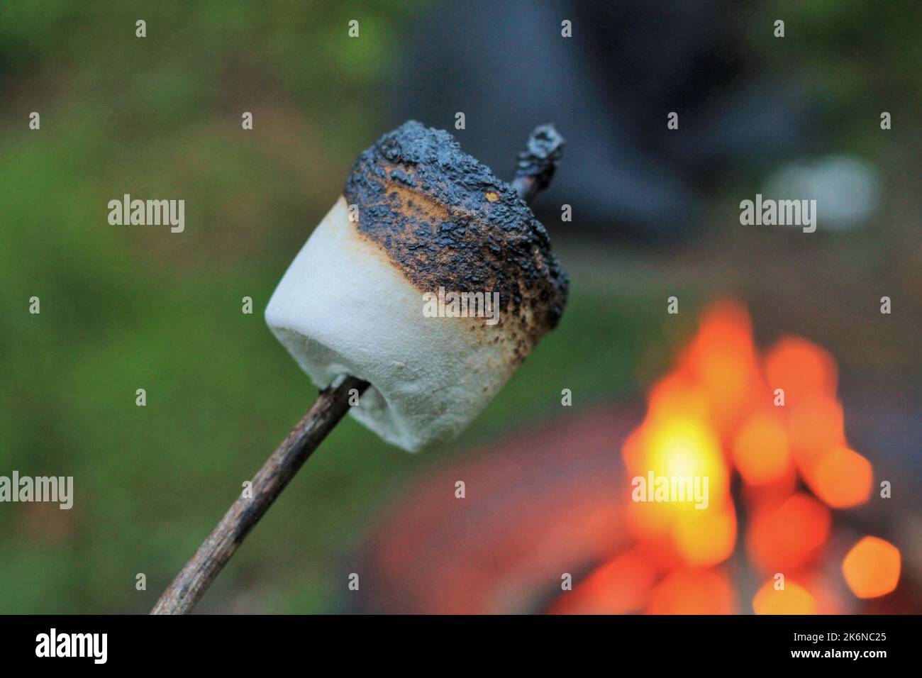 Malvavisco asado en palo junto al fuego Foto de stock