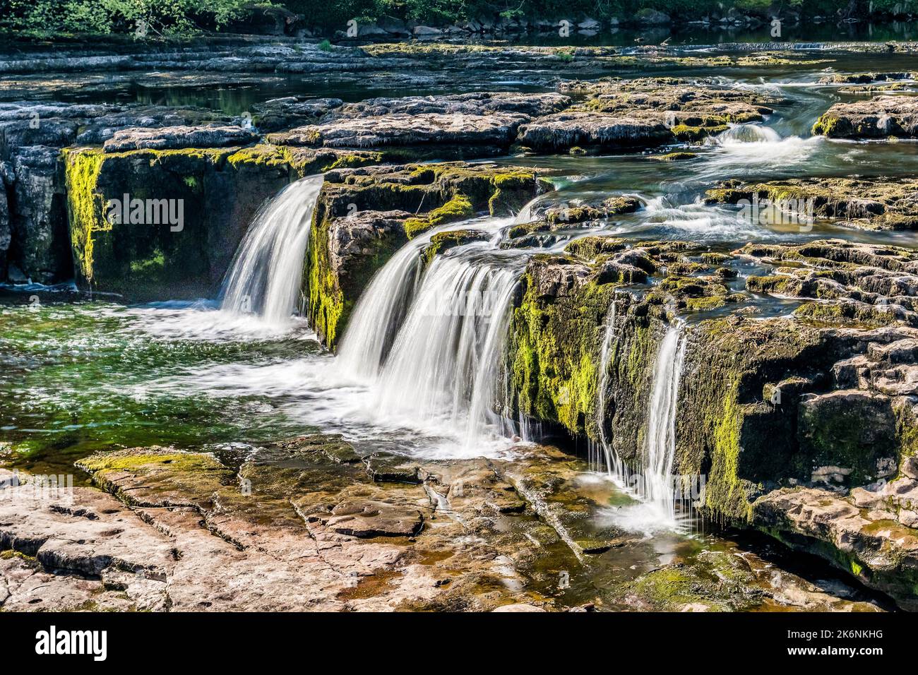 Upper Force, la parte más alta de Aysgarth Falls en el río Ure en Wnsleydale, North Yorkshire. Foto de stock