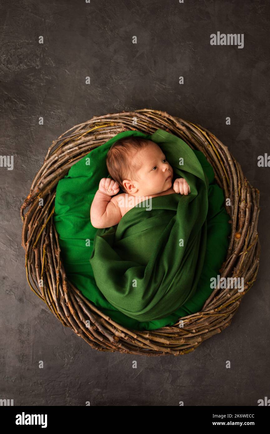 Niño Recién Nacido En Cesta, Bebé En Pañal, En Hojas De Col Foto de archivo  - Imagen de nuevo, alfombra: 200030656
