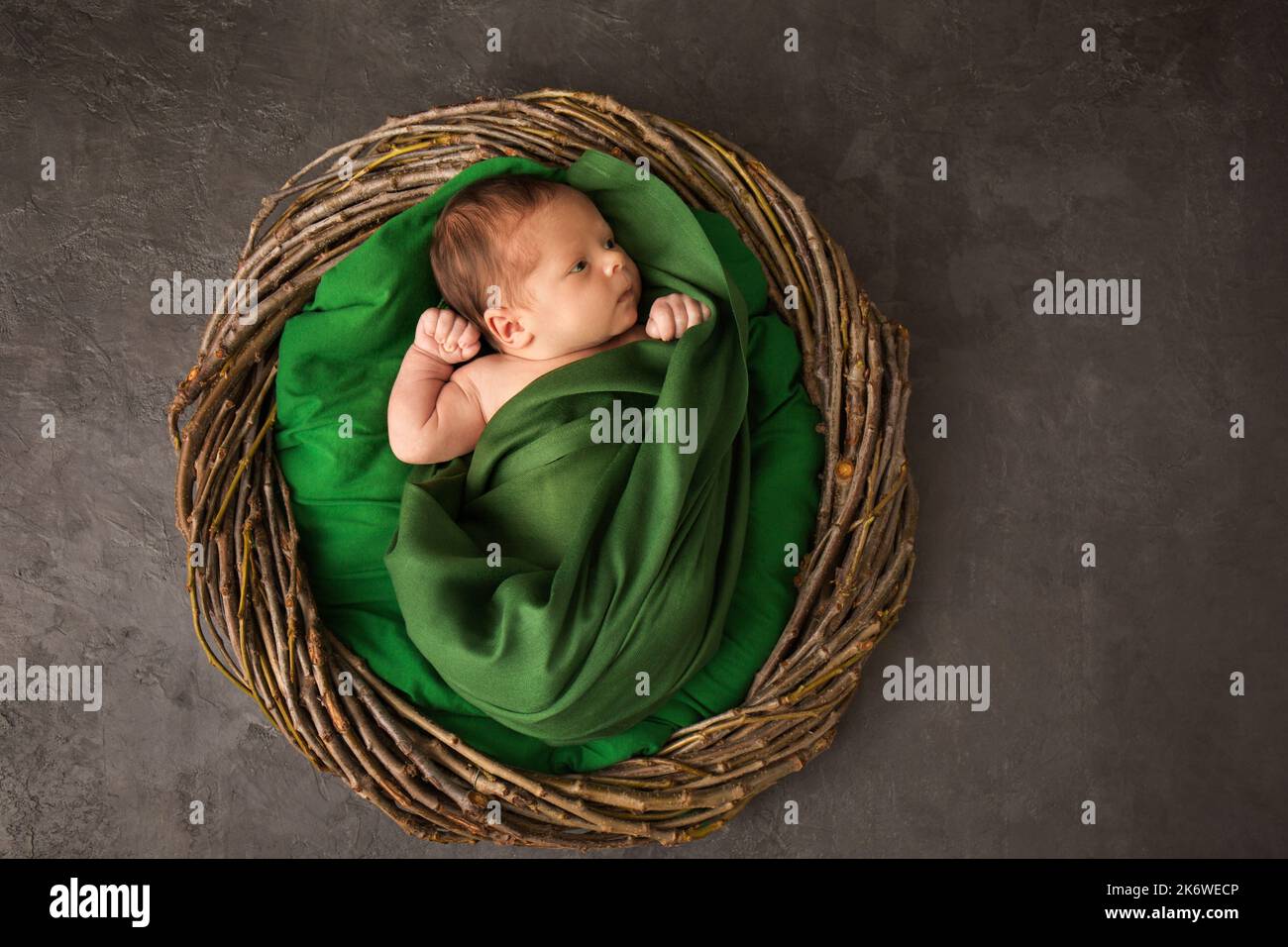 Niño Recién Nacido En Cesta, Bebé En Pañal, En Hojas De Col Foto de archivo  - Imagen de nuevo, alfombra: 200030656