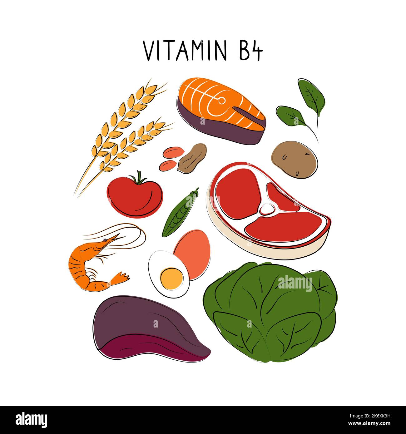 Vitamina B4 Colina. Grupos de productos saludables que contienen