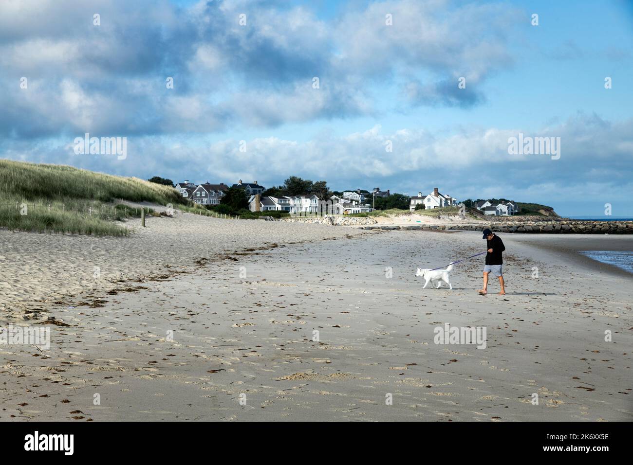 Caminante de perros en la playa. Foto de stock