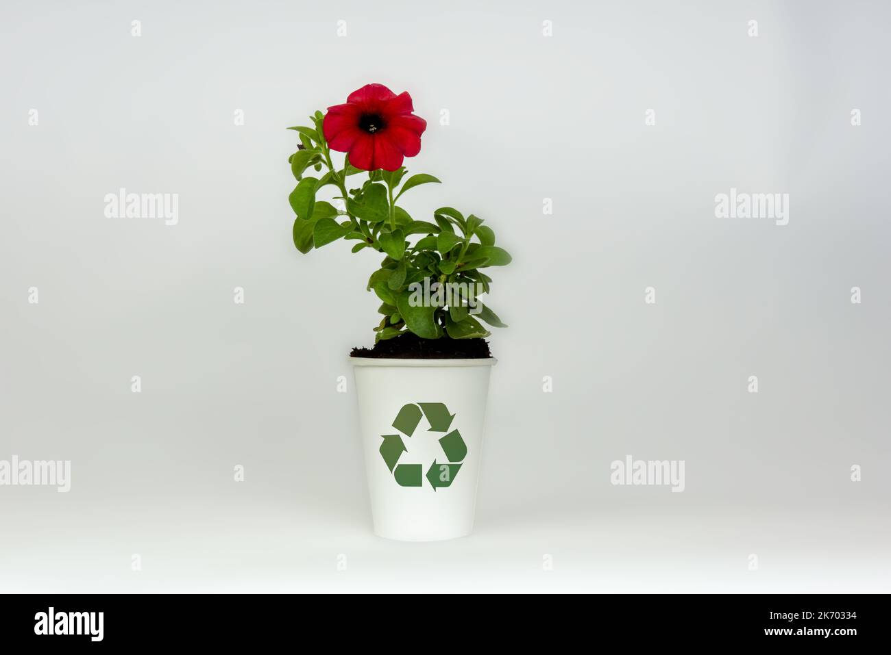 Taza de café desechable de un solo uso reciclada con icono de reciclaje para promover recursos sostenibles y cuestiones medioambientales Foto de stock