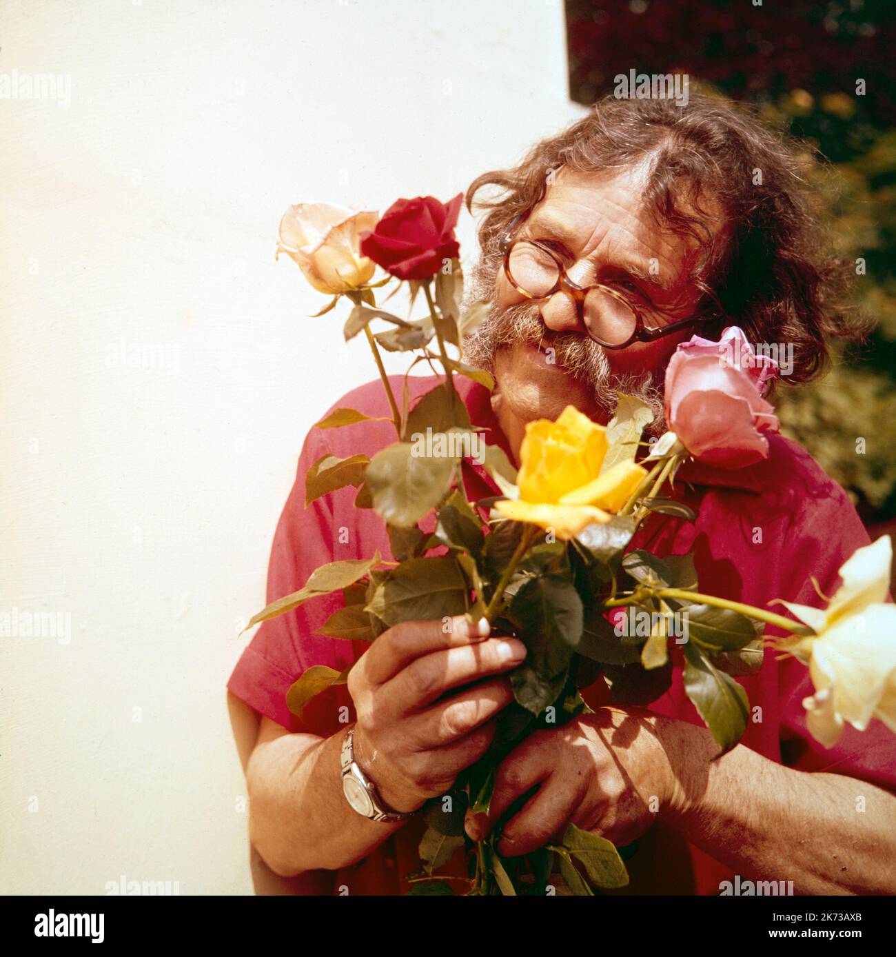 Una fotografía en color de la época de 1960s del Rose Grower británico harry Wheatcroft. Foto de stock