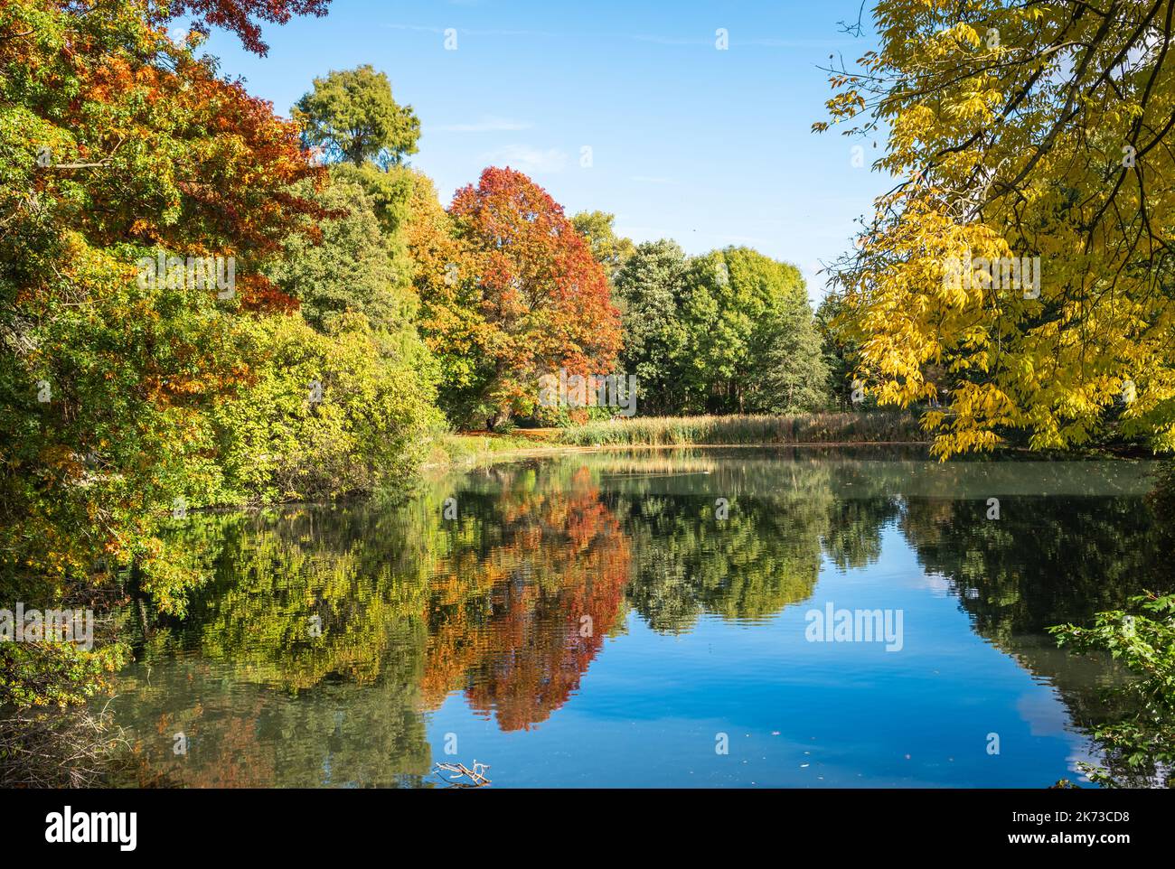 Paisaje natural con reflejo de los árboles en el lago. Temporada de otoño. Rivierenhof en Amberes, Bélgica. Foto de stock