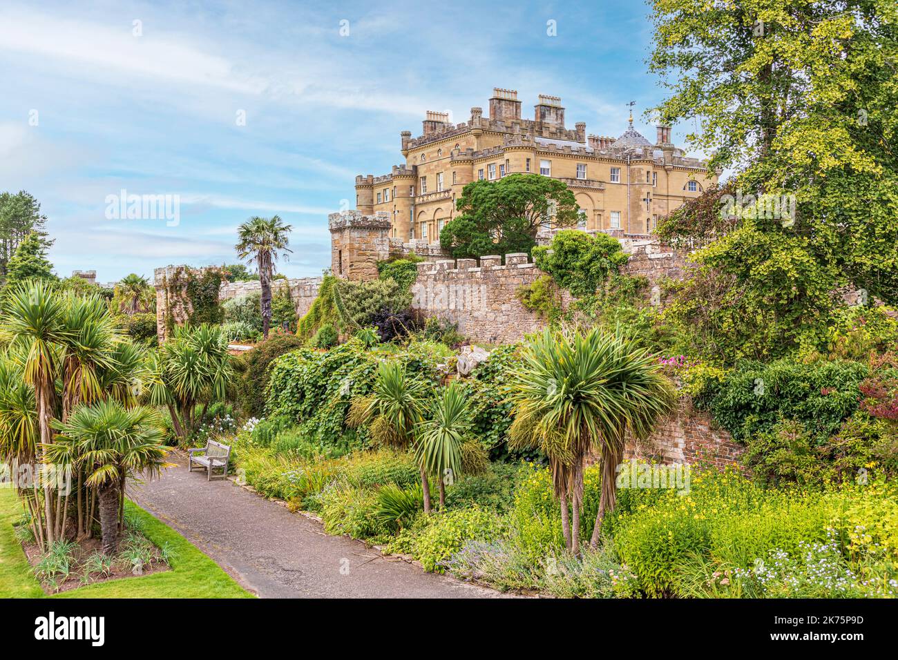 Palmeras en los jardines de Culzean Castle, South Ayrshire, Escocia, Reino Unido Foto de stock