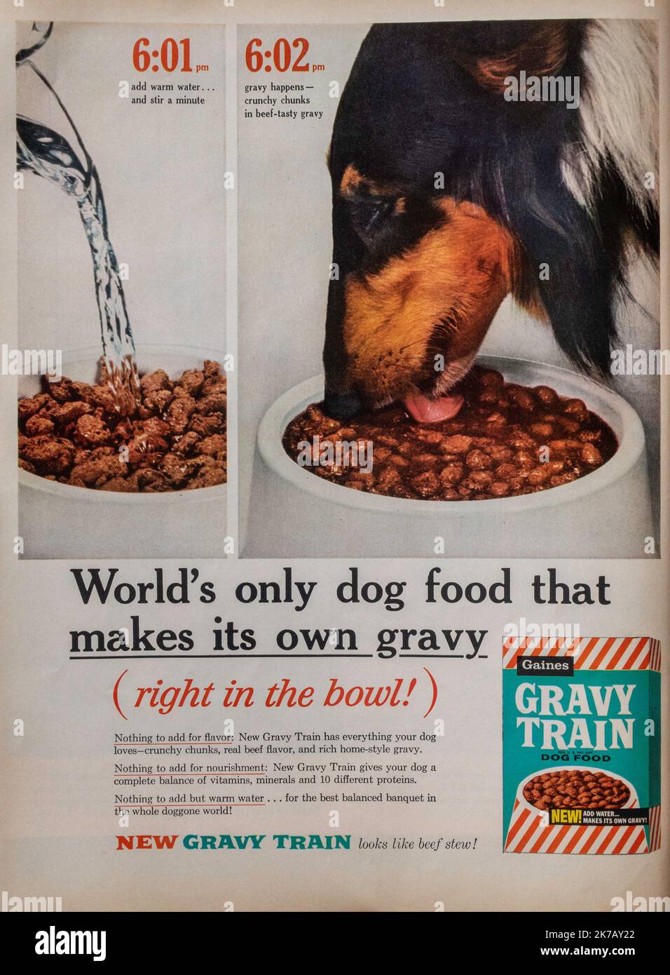 Anuncio de comida para perros fotografías e imágenes de alta resolución -  Página 2 - Alamy