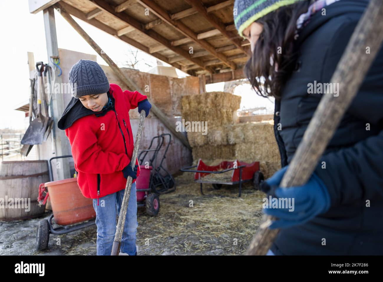 Hermano y hermana limpiando heno en el granero de la granja Foto de stock