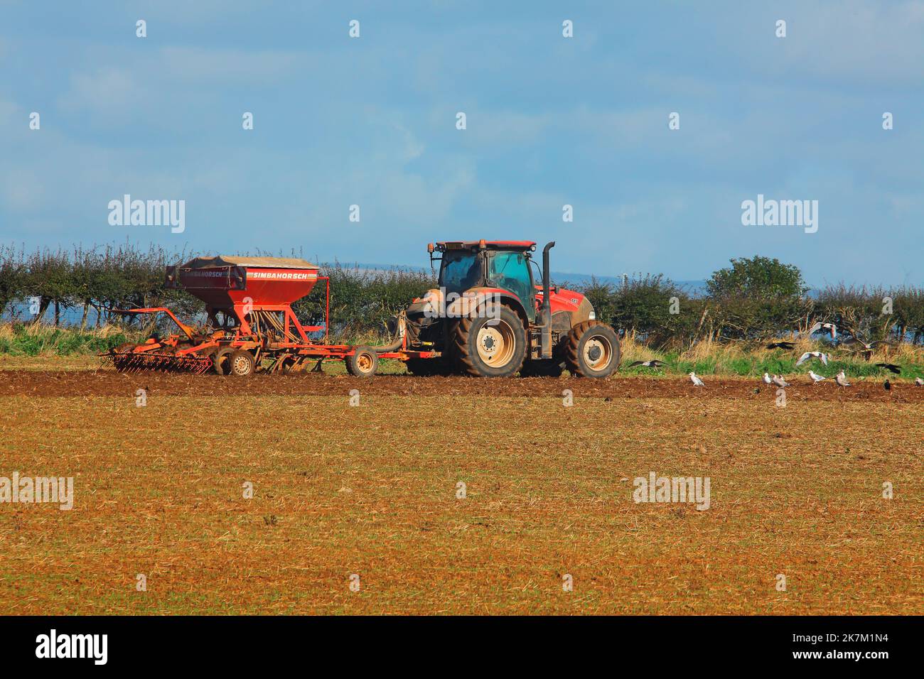 Un granjero local en su tractor remolcando una máquina de siembra automática para el próximo cultivo en este campo recientemente arado. Foto de stock