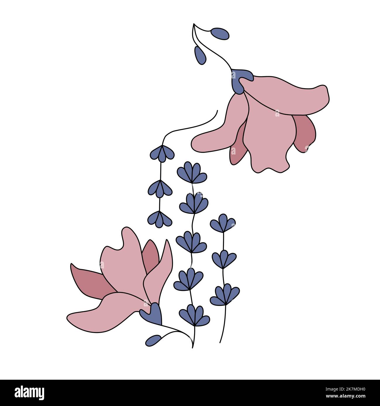 Ilustracion botanica lavanda fotografías e imágenes de alta resolución - Alamy Ilustracion botanica lavanda fotografías e imágenes de alta resolución - Alamy