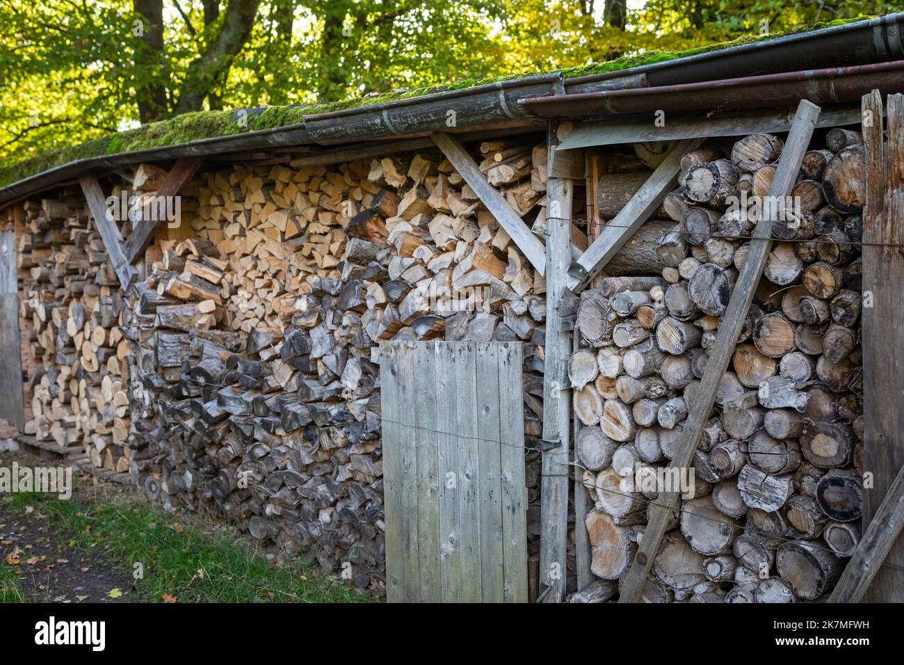 Montón de madera secando en un prado en Alemania Foto de stock