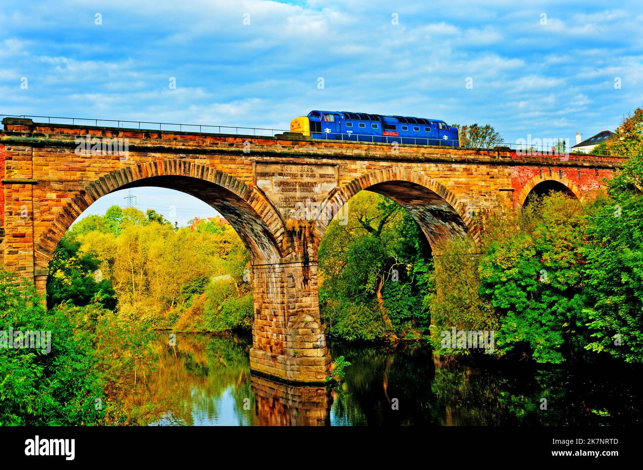 Deltic Locomotive Los Reyes poseen la Infantería Ligera de Yorkshire sobre el Viaducto de Yarm, Yarm en Tees, Inglaterra Foto de stock