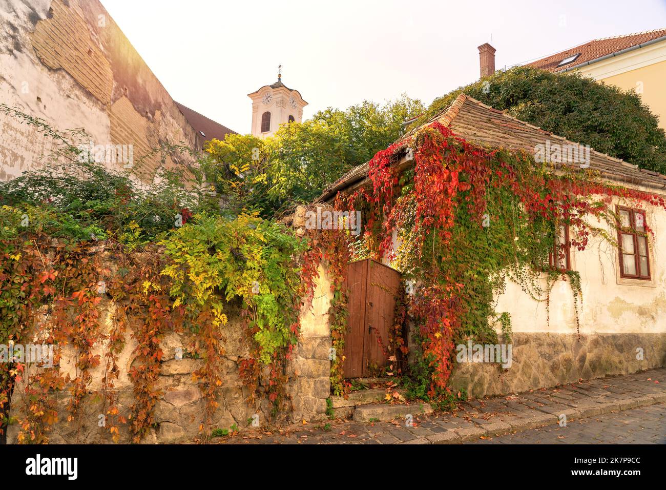 Hermoso colorido paisaje urbano de Szentendre otoño naturaleza en la calle Foto de stock