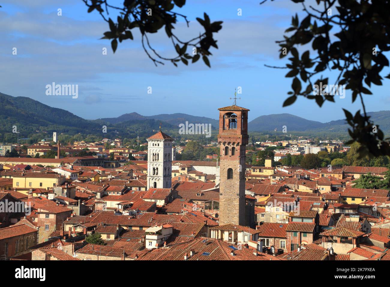 Vista desde Torre Guinigi, Torre Guinigi, Lucca Italia Foto de stock