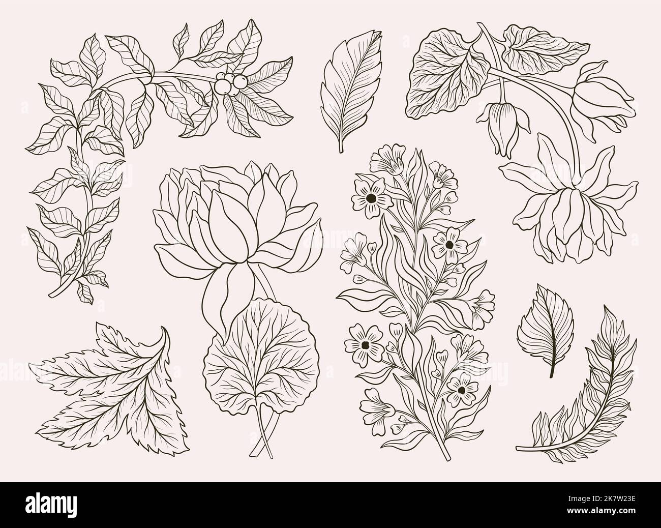 Colección de motivos florales vintage. Arte estilo William Moriss y movimiento artesanal. Diseño contorno flor símbolo. Ilustración del Vector