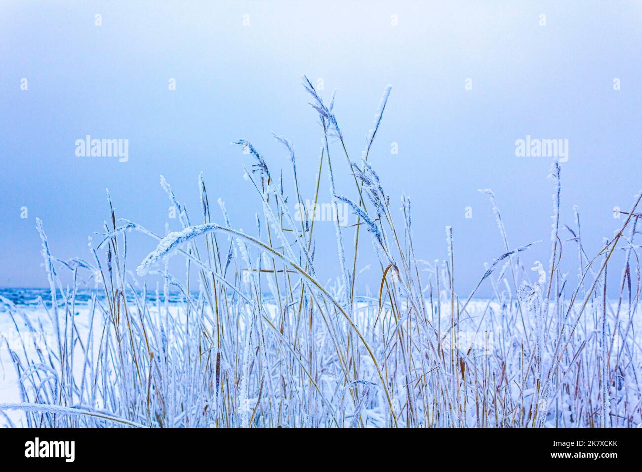 Heladas de nieve Hilos fríos y congelados en Cuxhaven Baja Sajonia Alemania  Fotografía de stock - Alamy