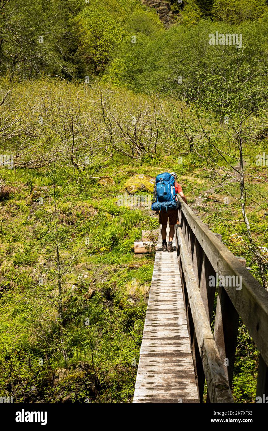 WA22396-00...WASHINGTON - Backpacker cruzando un estrecho puente sobre el Río Quinault en el extremo inferior del Valle Enchanted en el Parque Nacional Olímpico. Foto de stock