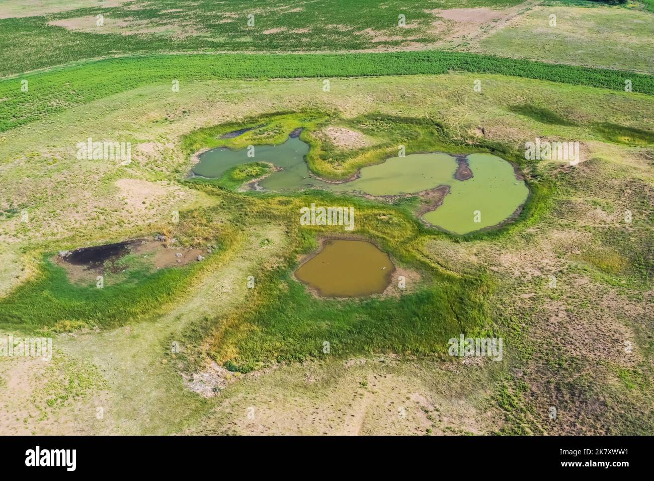 Manantial de agua dulce. Vista aérea. Argentina Foto de stock