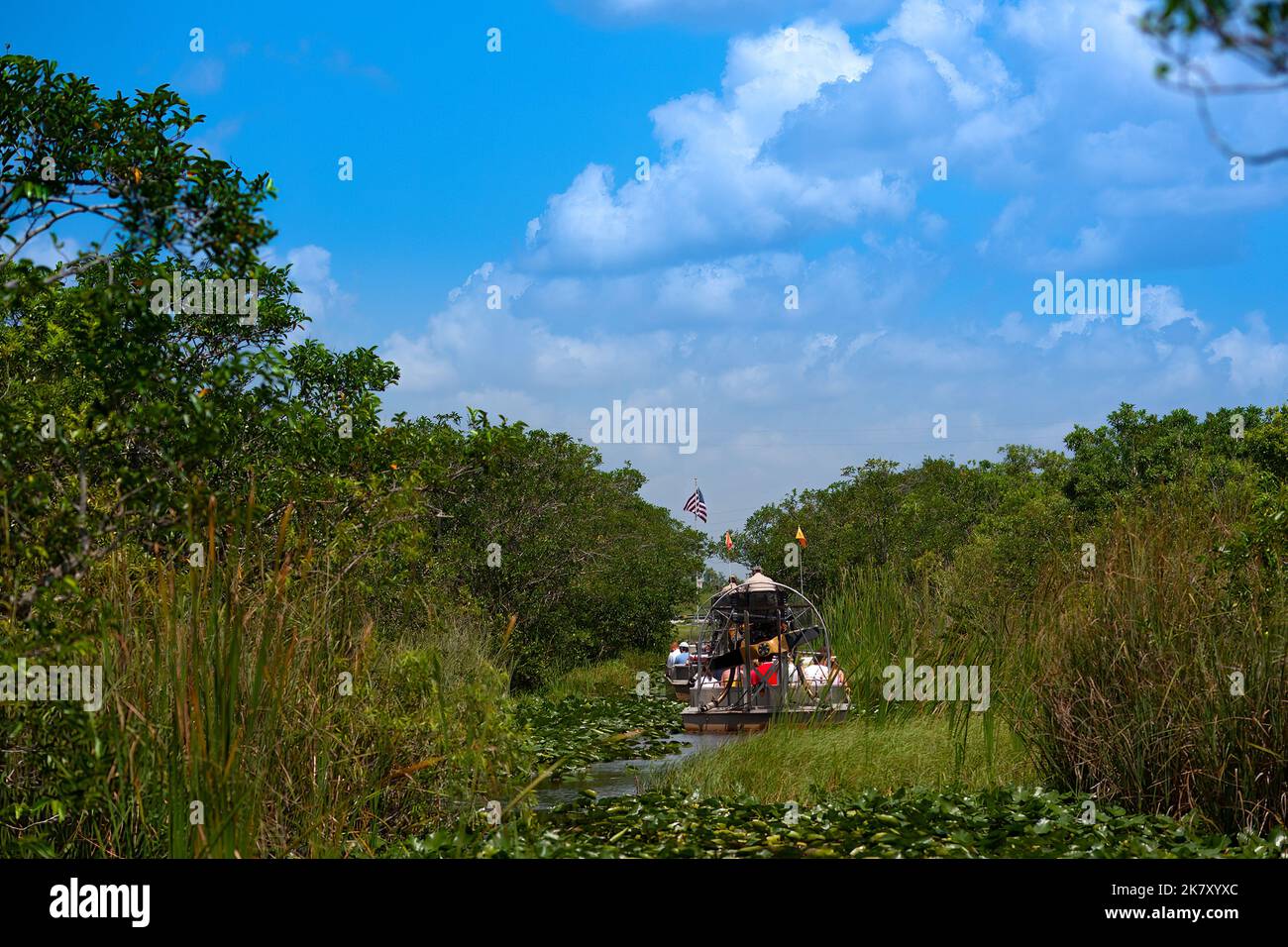 Excursión en hidrodeslizador en el Parque Nacional Everglades, Florida, Estados Unidos Foto de stock