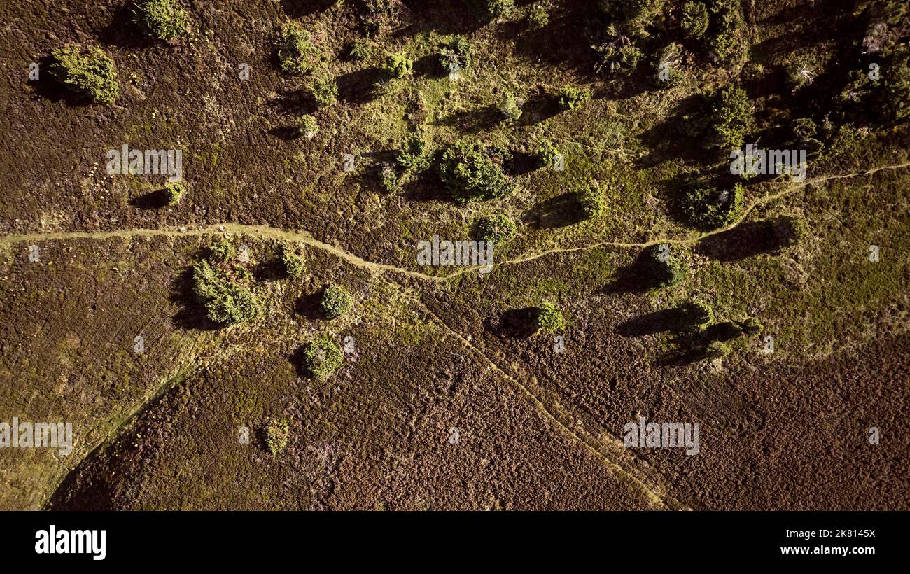 Drone sobre el parque nacional Rebild bakker en dinamarca Foto de stock