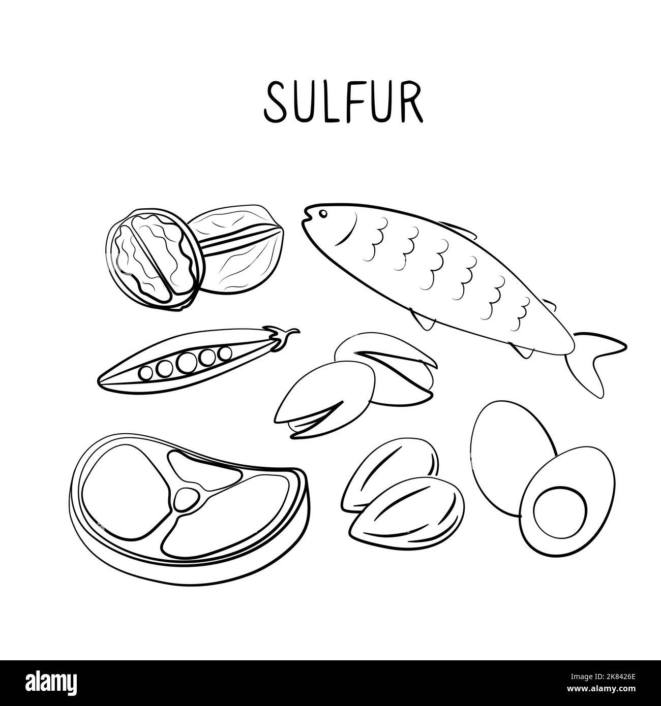 Alimentos con contenido de azufre. Grupos de productos saludables que