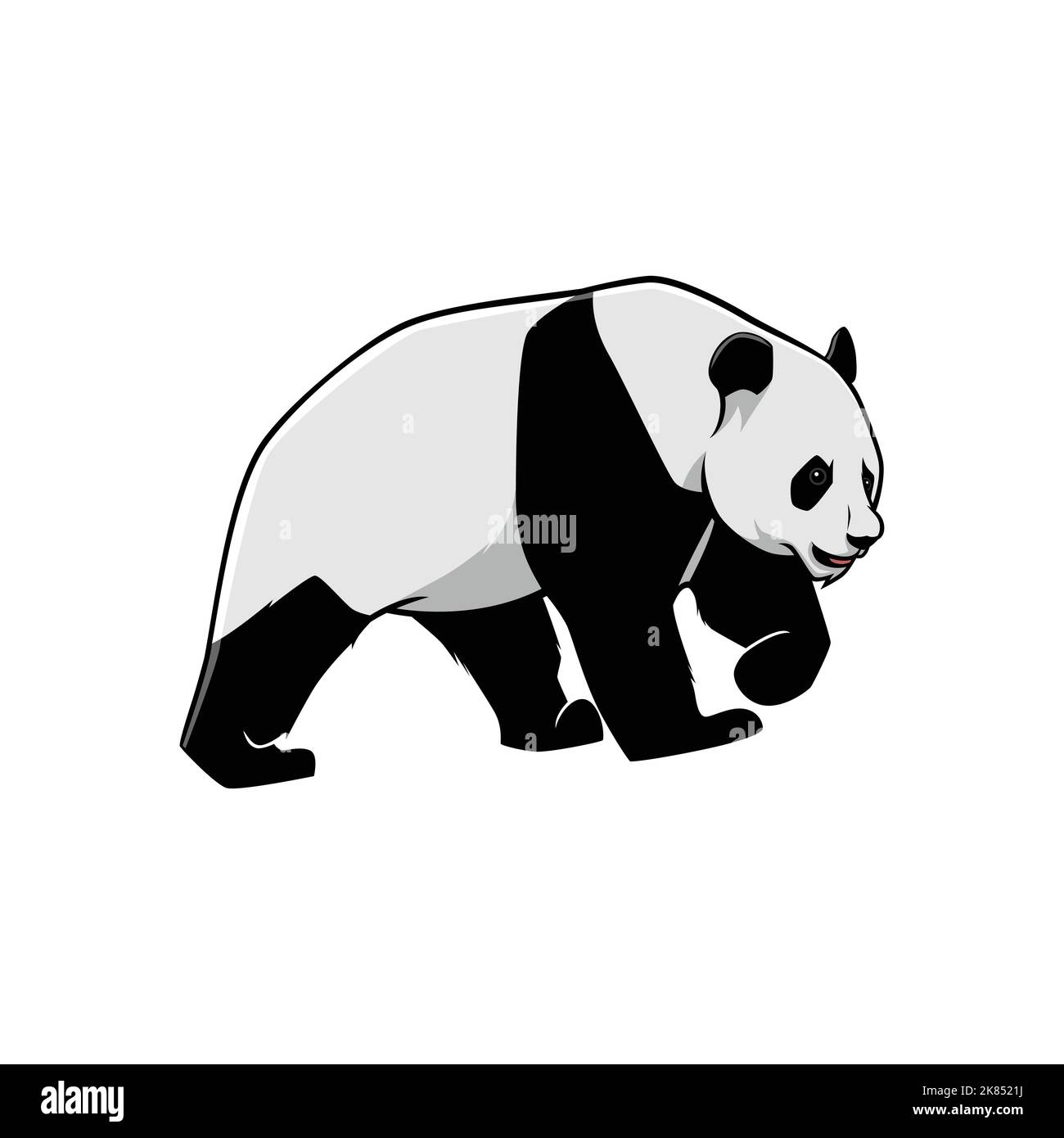 Ilustración de Panda Caminando con vector de cara enojada aislado sobre un fondo blanco Ilustración del Vector