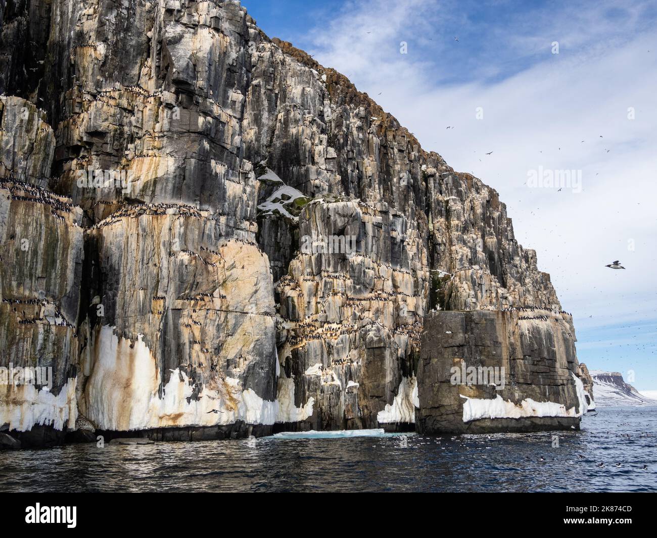 Los famosos acantilados de aves en Alkefjellet, literalmente significa Montaña de los Guillemots, Svalbard, Noruega, Europa Foto de stock