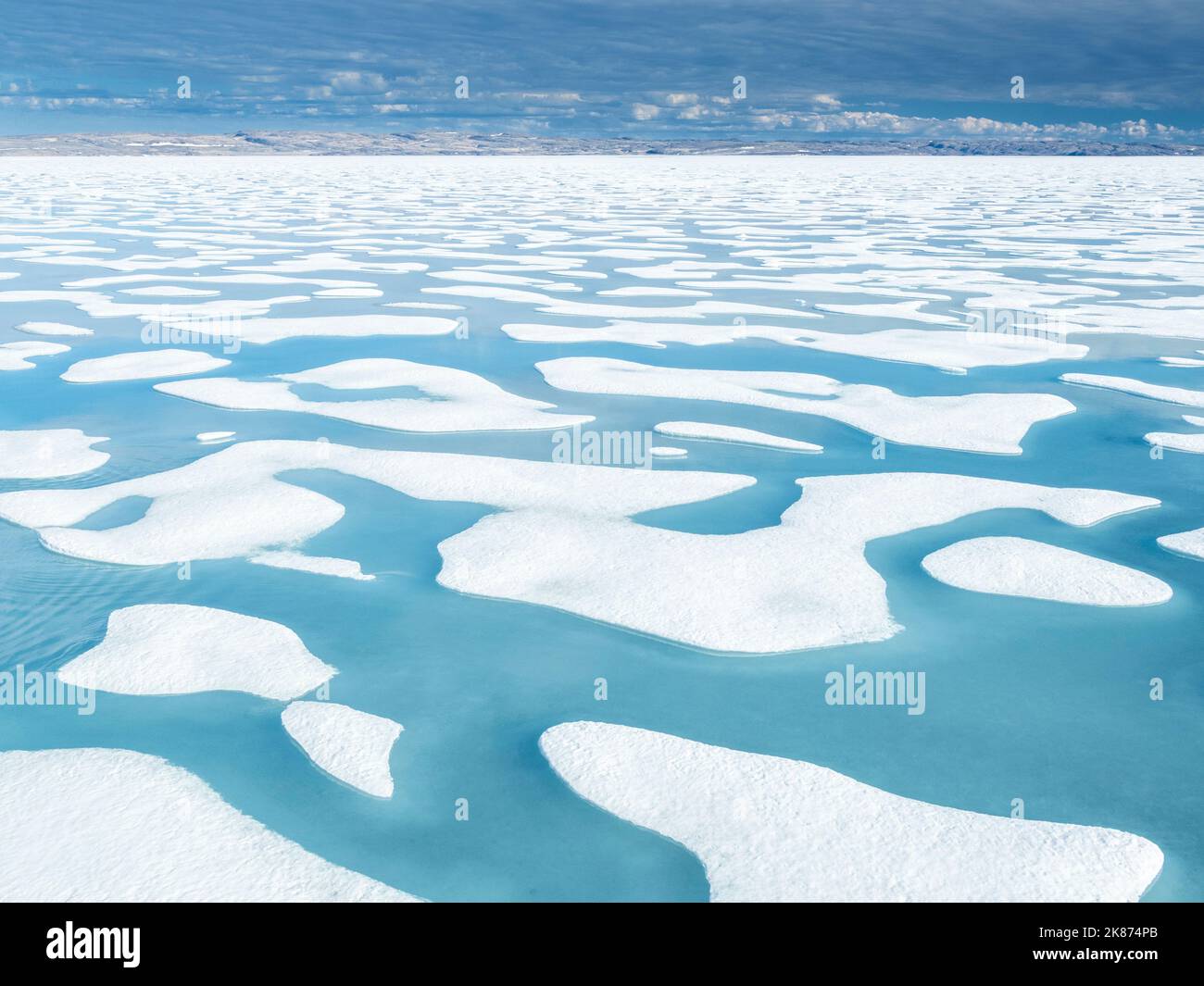 Derretir las piscinas de agua en el paquete de hielo 10/10ths en McClintock Channel, Northwest Passage, Nunavut, Canadá, Norteamérica Foto de stock