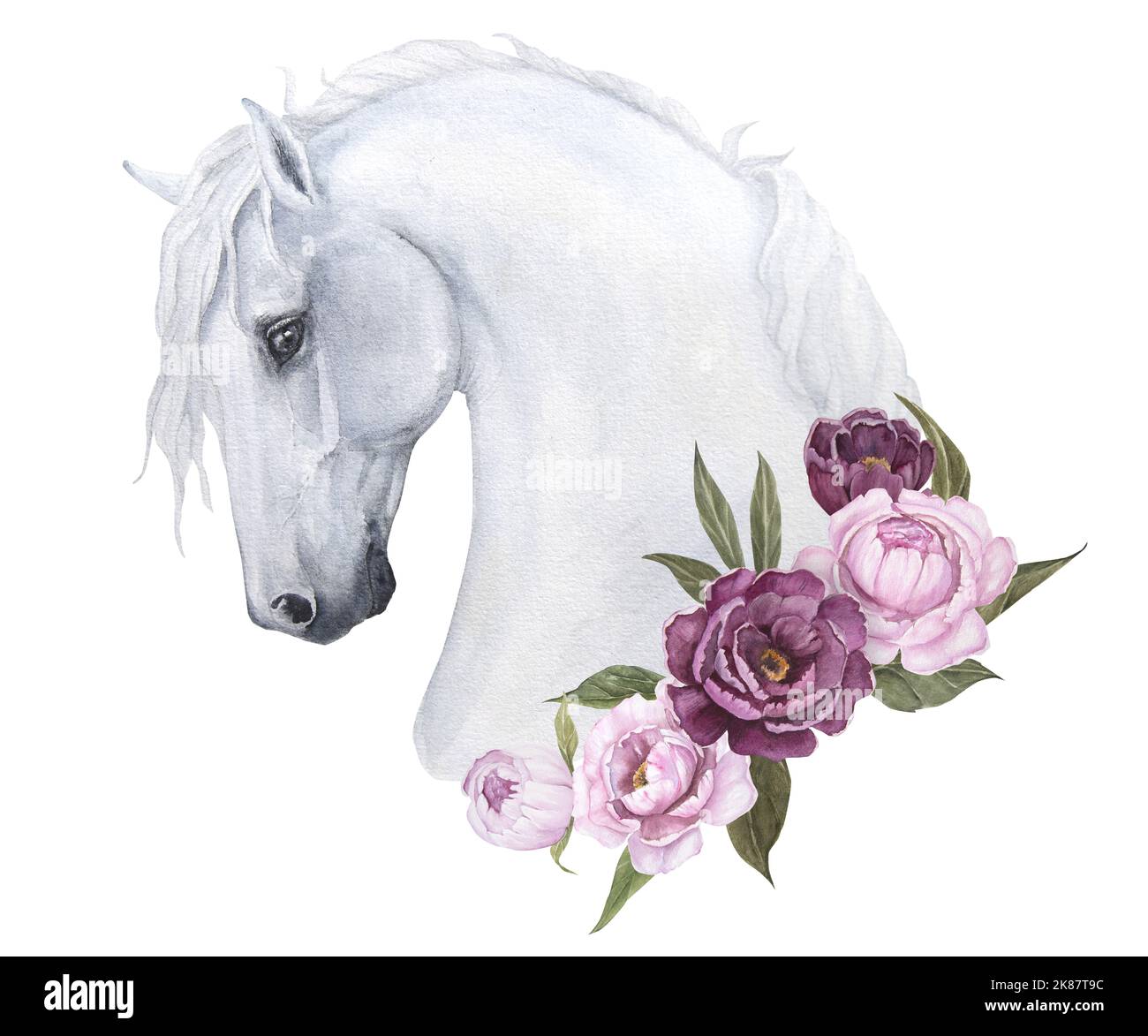 Acuarela ilustración retrato de un caballo blanco con delicadas peonías aisladas. Se puede utilizar como impresión para ropa, postales Foto de stock