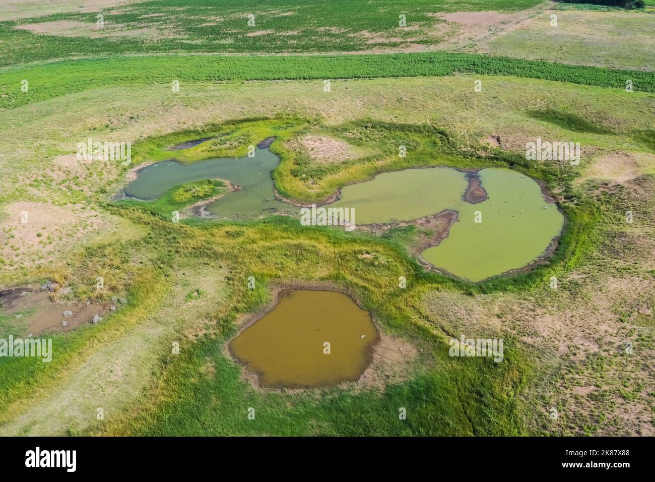 Manantial de agua dulce. Vista aérea. Argentina Foto de stock