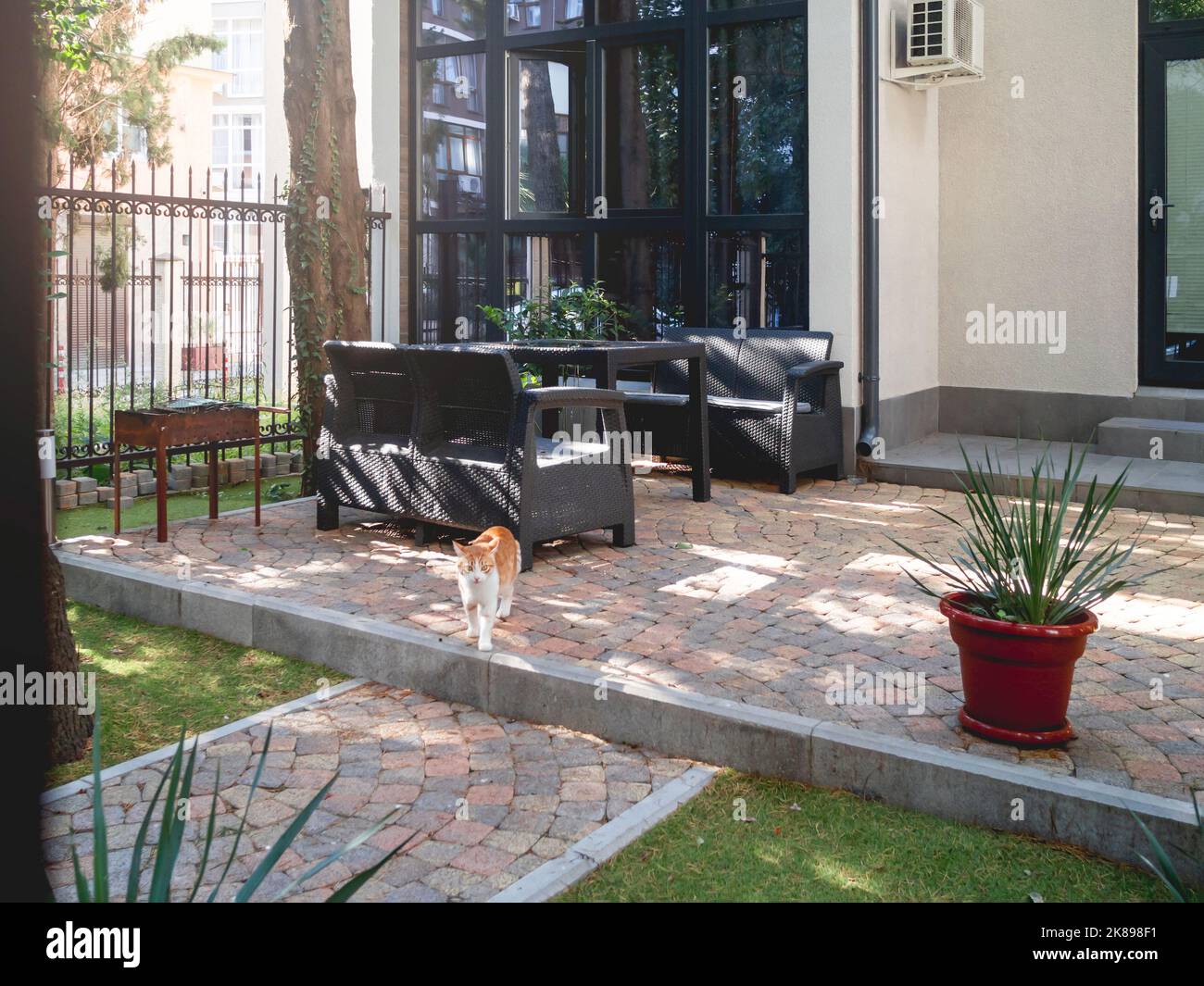 Gato jengibre en el patio. Mascota mullida en el patio - lugar al aire libre para fiestas y barbacoa. Distrito residencial. Foto de stock